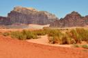 Wadi Rum - ani púšť nie je bez vegetácie