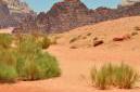 Wadi Rum - piesok púšte nádherne mení farby