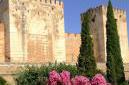 Alhambra - kamenné múry sú skrášlené rozkvinutými kríkmi