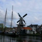 Haarlem - trhovisko z kvetín