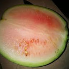 Kúpili ste nezrelý melón? Trik ako vám doma rýchlo dozrie