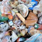 Zachráňme jedlo, zachráňme životy: Slovenská katolícka charita bojuje proti plytvaniu potravinami